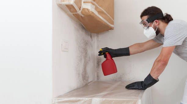 Professional Bathroom Mold Removal technician working in Bala Cynwyd, PA